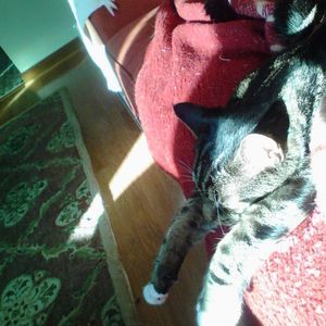 Meet your Posher, Deb